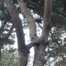 백마강길 이미지