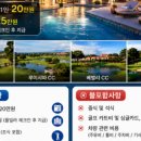 유앤미여행사