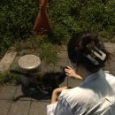 냥냥이 캔따개 네이버블로그