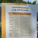 [고창]고인돌 야생가족 선사캠프 후기