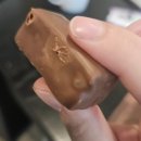 너구리PC(인-478호) | 🇦🇺혼자 잘 노는 일상|멜버른 뮤지엄|호주헬로키티|크리스마스 인 멜버른(D+166~D+172)