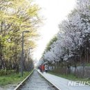 바야흐로봄