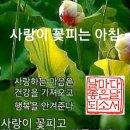 해병대패밀리 1월 22일 건강정보 이미지