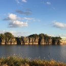 양평배수장 이미지