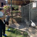 은호농장 이미지