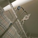 연세이상미내과의원 이미지