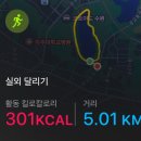 광교호수공원 | 광교호수공원 가족캠핑장 평일/주말 후기