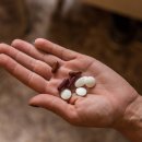 연세새롬의원 이미지