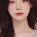 아라헤어톡