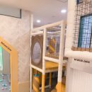 노리파크 현대예술관점 이미지