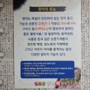 딩동댕향어회