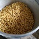 오늘은두부 이미지