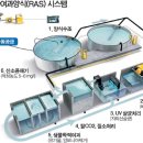 해사랑전복마을