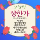 코스모아이씨티