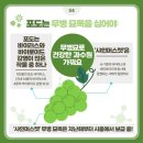 샤인바이러스