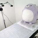 엘르왁싱