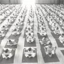 국선도 종합 이미지