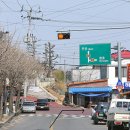 일로농협주유소 이미지