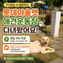 롯데프리미엄아울렛 기흥점 | 롯데프리미엄아울렛 기흥점 애견운동장 후기! 평일 무료주차·주말 주차 꿀팁