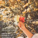 오드리물 이미지