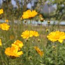 한방한재골하얀집 이미지