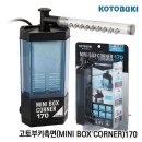 구피샵 - 광명시 도덕공원로 21-1 | 구피샵