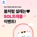 쏠트래블