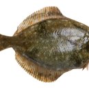 제철별미 이미지