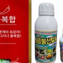한국농약씨앗 이미지