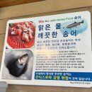 여주양평횟집