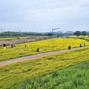 이팝나무길 이미지