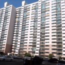 하단동118 이미지