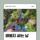 배순농장 | 30도 무더위에 배봉지 싸고 온 하루｜주말 배밭 브이로그 #03