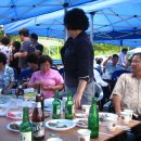 안정초등학교 이미지