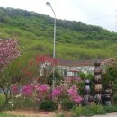 노적애뜰 이미지