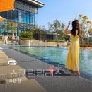 Spring Palace(스프링 팰리스) | 부산 기장 아난티 앳 부산 빌라쥬 호텔 객실예약팁 스프링팰리스 정보