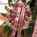 제주관광대학 컨벤션홀 이미지