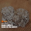 숲속엔 에프앤비 네이버블로그