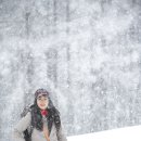 성철목장 이미지