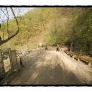 곱돌광산약수터 이미지