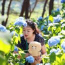 진수밥상 이미지