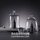 세븐라인 이미지