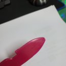 완도둥이맘