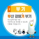 부기상회 이미지