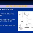 방추 이미지