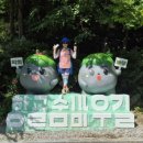 항골계곡 이미지