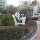 영등포농협하나로마트노량진뉴타운점 | 노량진우성 완전 정리 — 노량진역 더블역세권에 리모델링까지 노리는 단지