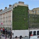 IMAGE WALL 이미지