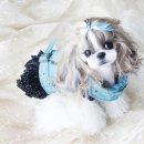 강아지를 부탁해 이미지