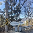 푸른숲헬스사우나 | [남해 고사리맨션 1호] 숲속 사우나와 야외 노천탕이 있는 감성 독채펜션